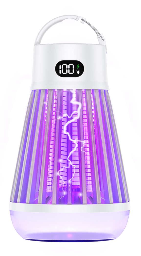 Zappify 2.0 Product